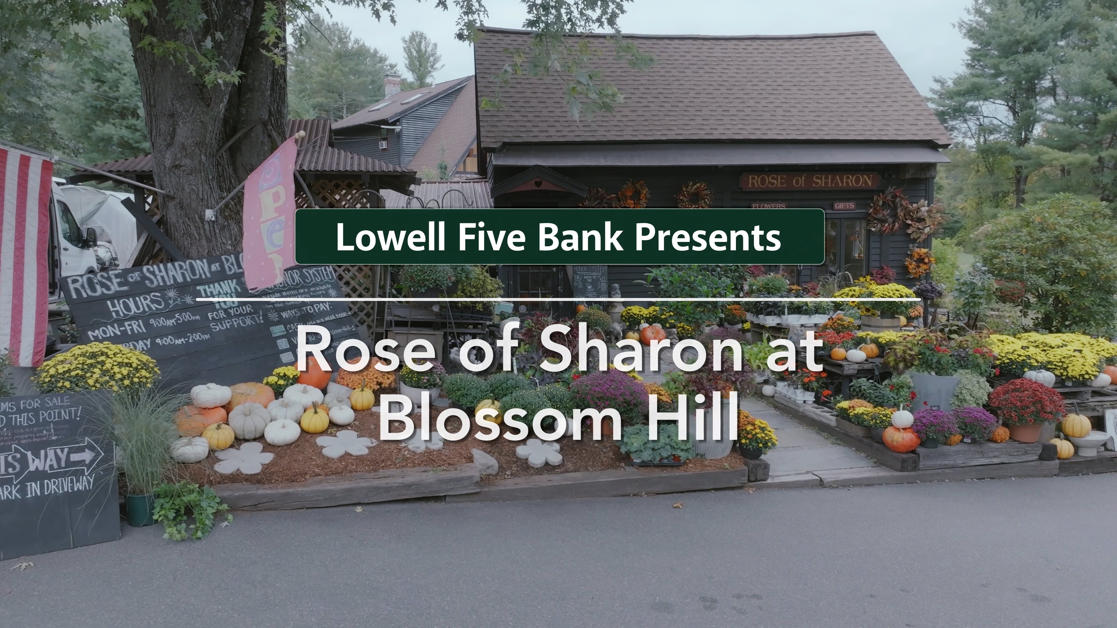Rose of Sharon