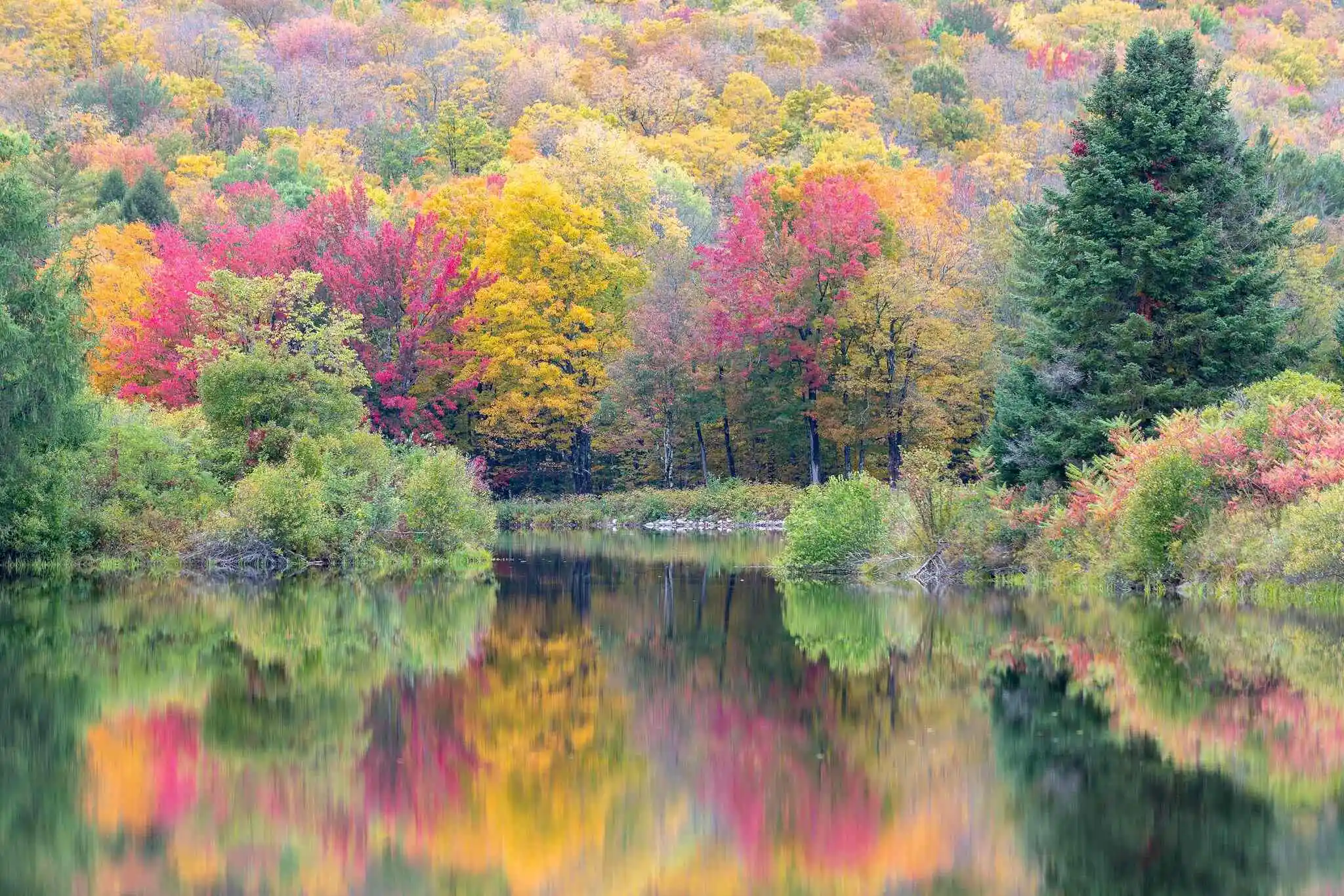 Trees turning to autumn colors behind a pond